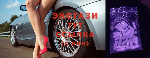 тгк Ельня