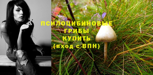 2c-b Елабуга