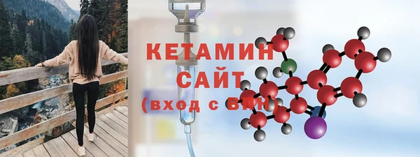 тгк Ельня