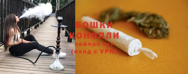 тгк Ельня