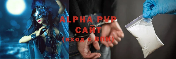 тгк Ельня