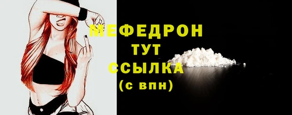 тгк Ельня