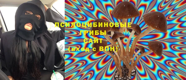 2c-b Елабуга