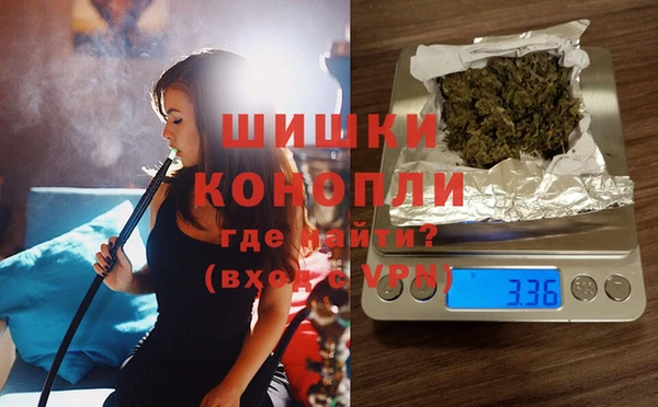 тгк Ельня