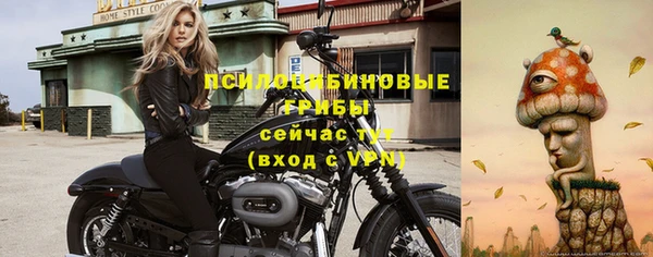 тгк Ельня
