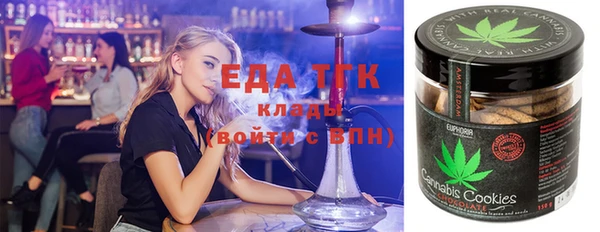 тгк Ельня
