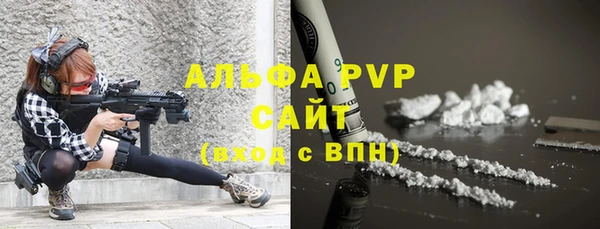 тгк Ельня
