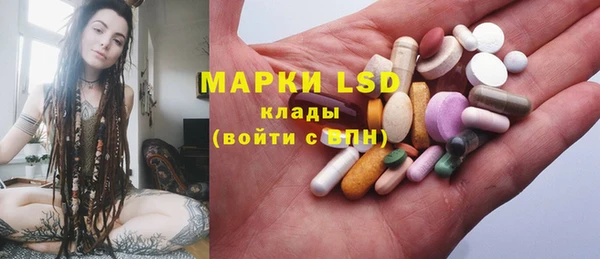 тгк Ельня