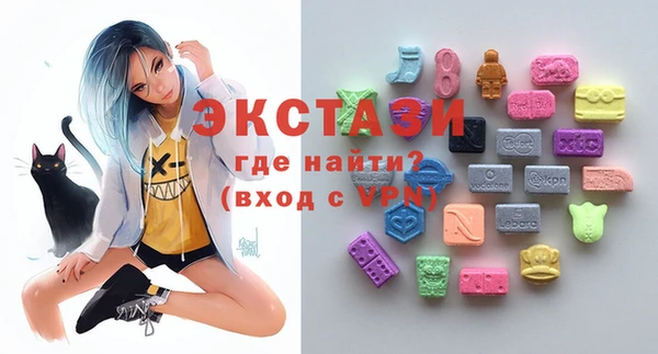тгк Ельня